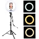 Aro Led 13_ (1).webp