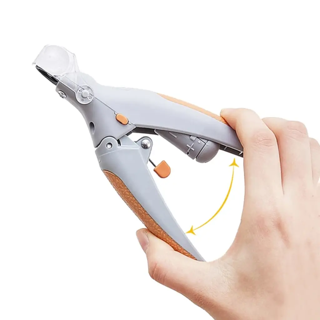 WhatsApp Image 2026-08-12 at 5.48.06 PM (1).webp