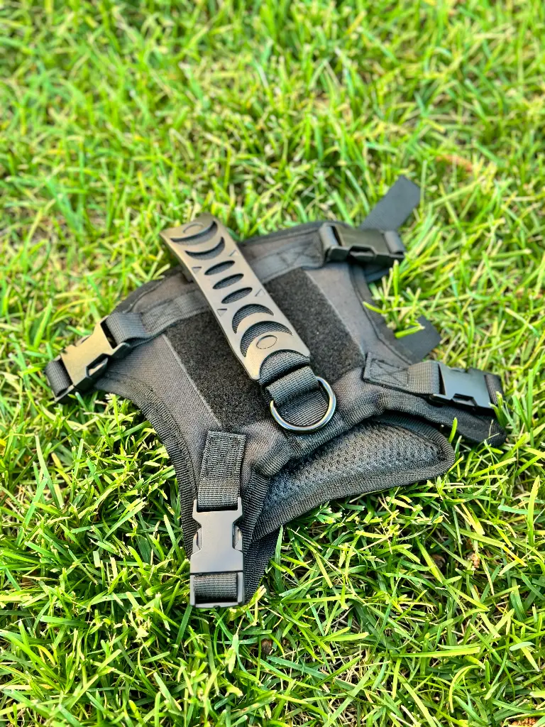 IMG-0577_5000x.webp