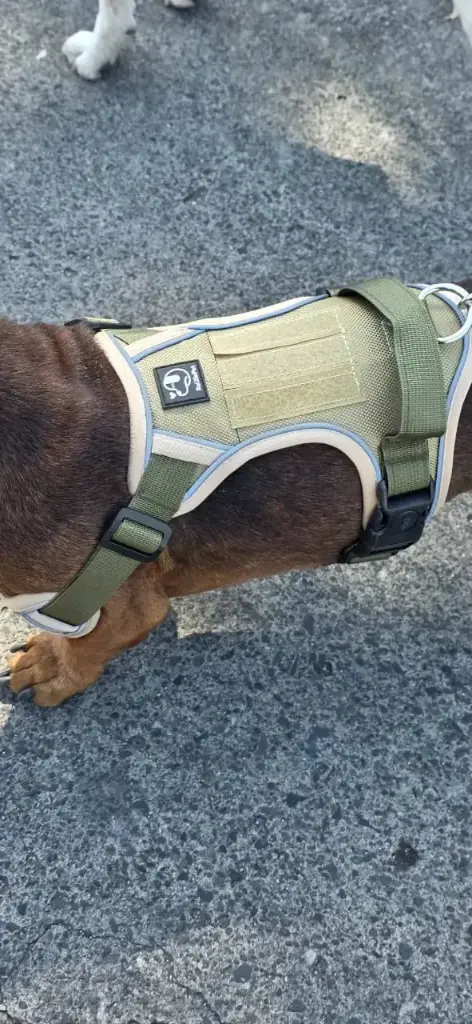 Arnés Antitirones con Detalles Reflectivos para Perro
