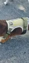 Arnés Antitirones con Detalles Reflectivos para Perro