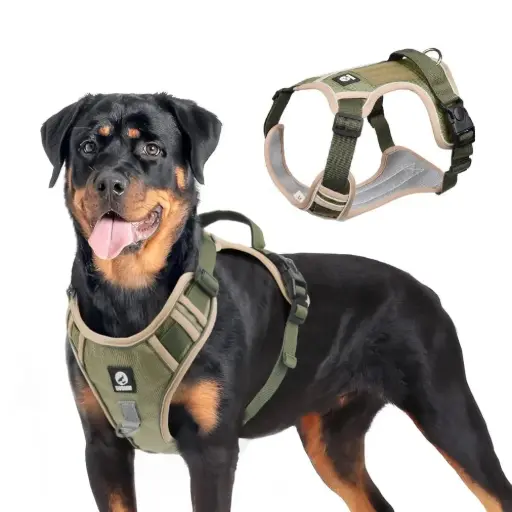 Arnés Antitirones con Detalles Reflectivos para Perro