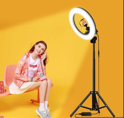 [HOG100200300004] Aro Led 13" 