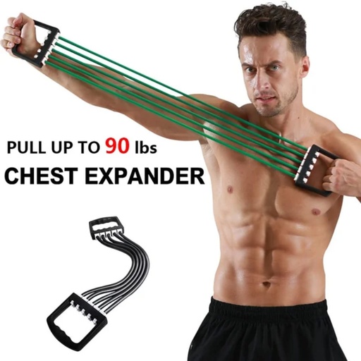 [GIM100200900010] Extensor de Pectoral